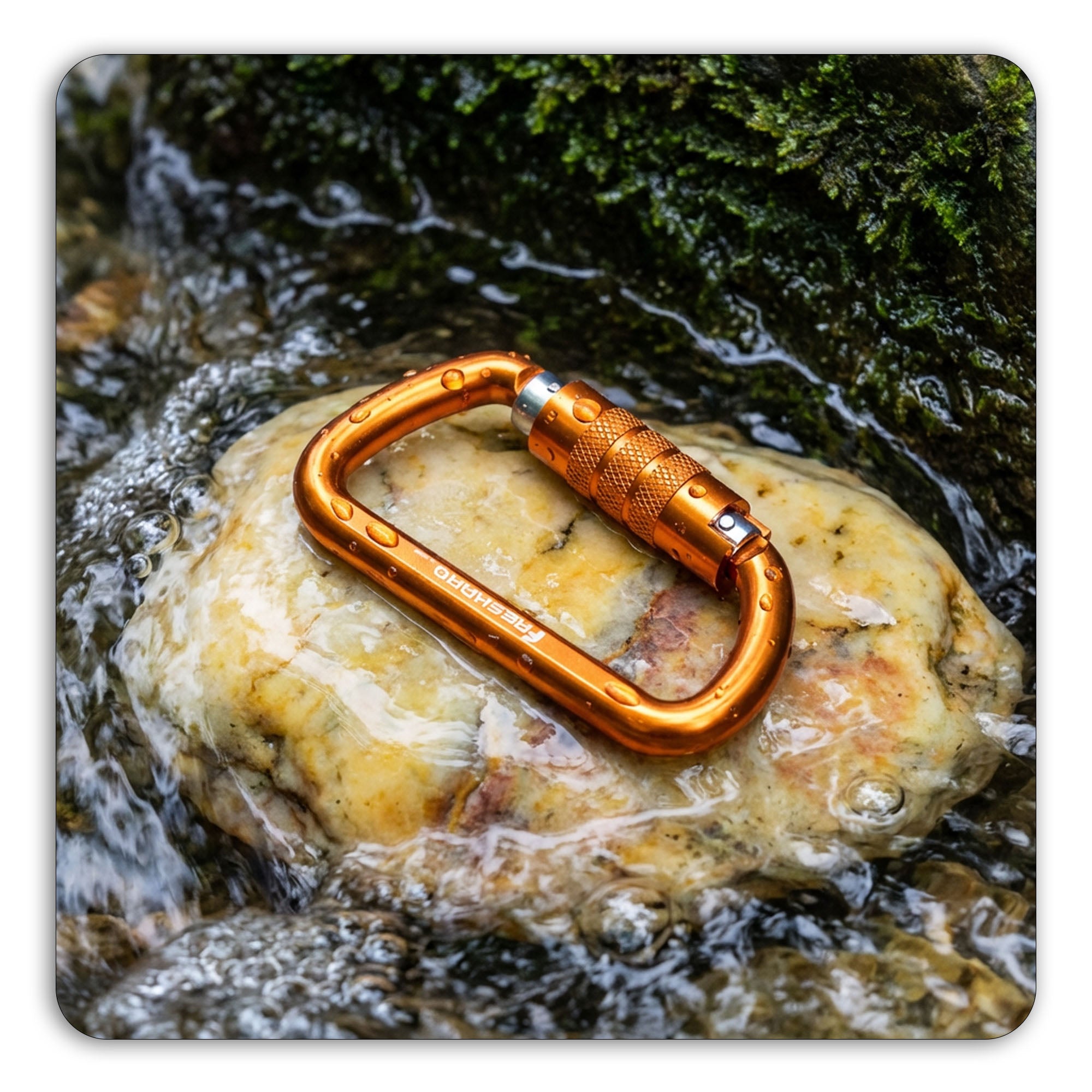 12kN Best Seller Auto Locking Carabiner Clip