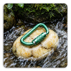 12kN Best Seller Auto Locking Carabiner Clip